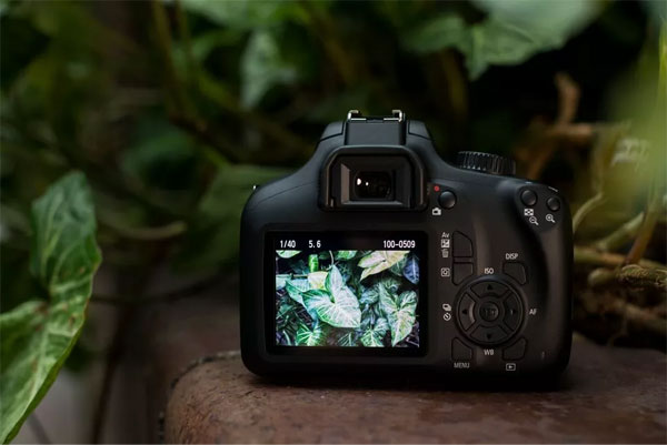 نمایشگر دوربین عکاسی Canon 4000D