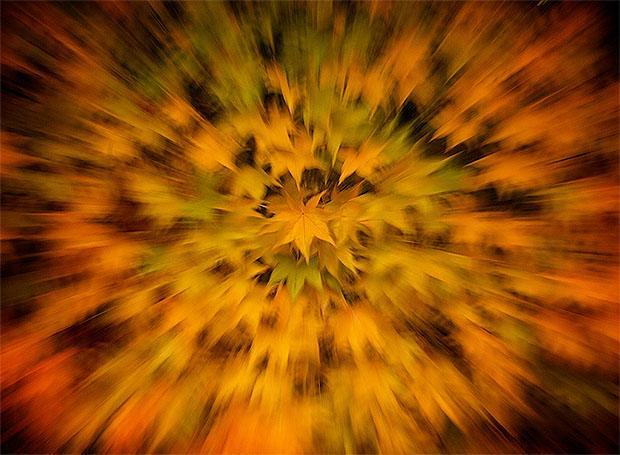 zoom brust
