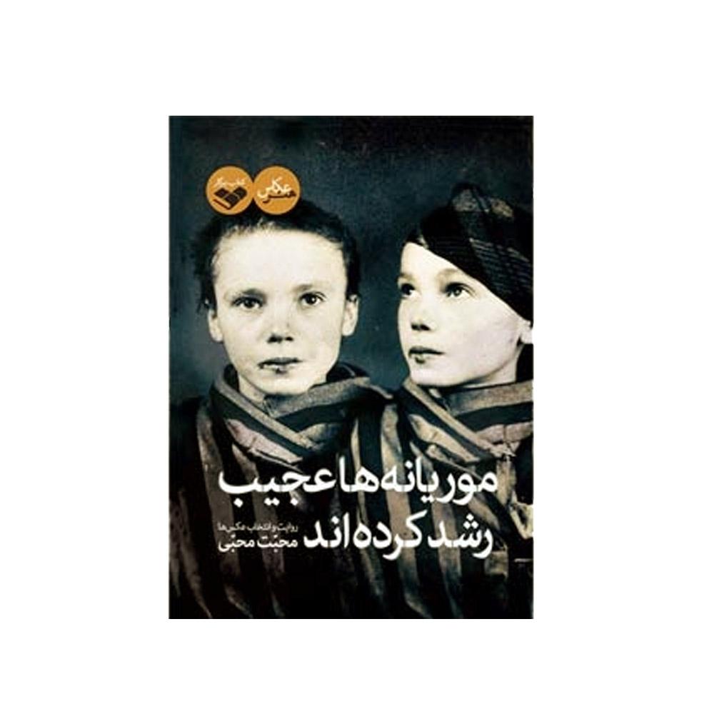 خرید کتاب موریانه ها عجیب رشد کرده اند