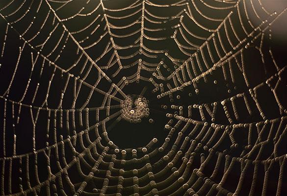 بافت ها در عکاسی طبیعت