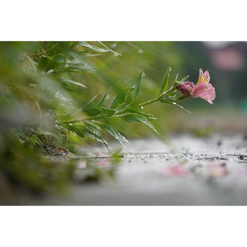 نمونه عکس دوربین سونی a6100