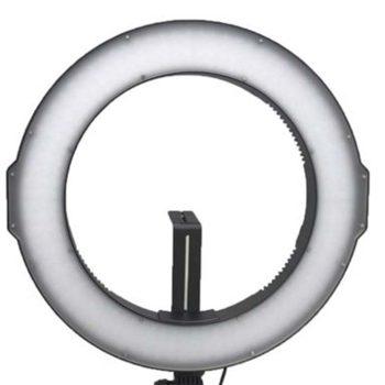 Ringlight max light-288