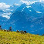 عکاسی از دوچرخه سواری