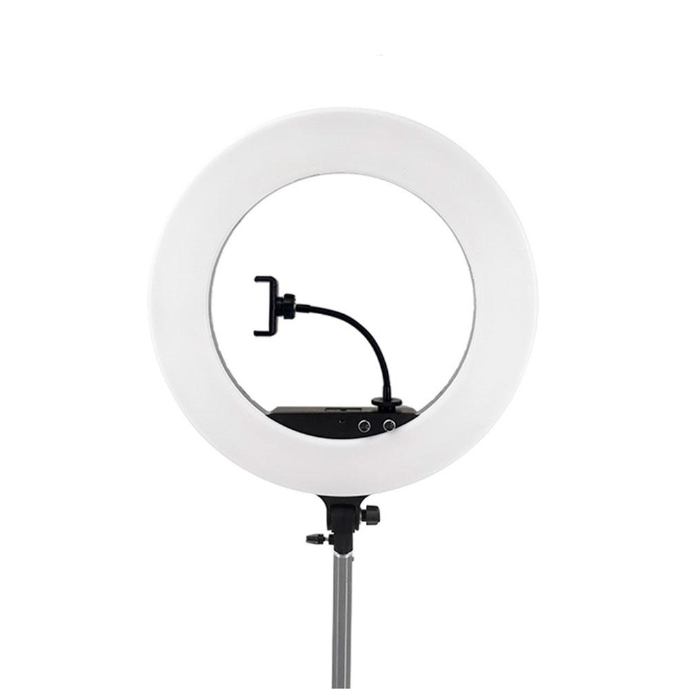 رینگ لایت عکاسی LF-R480