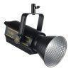 ویدئو لایت گودکس VL-300