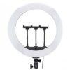 رینگ لایت حرفه ای جیماری دوربین مدل Fm-14R