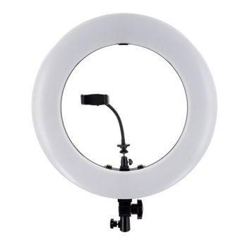 رینگ لایت عکاسی ریموت دار هارموني FA480 IV