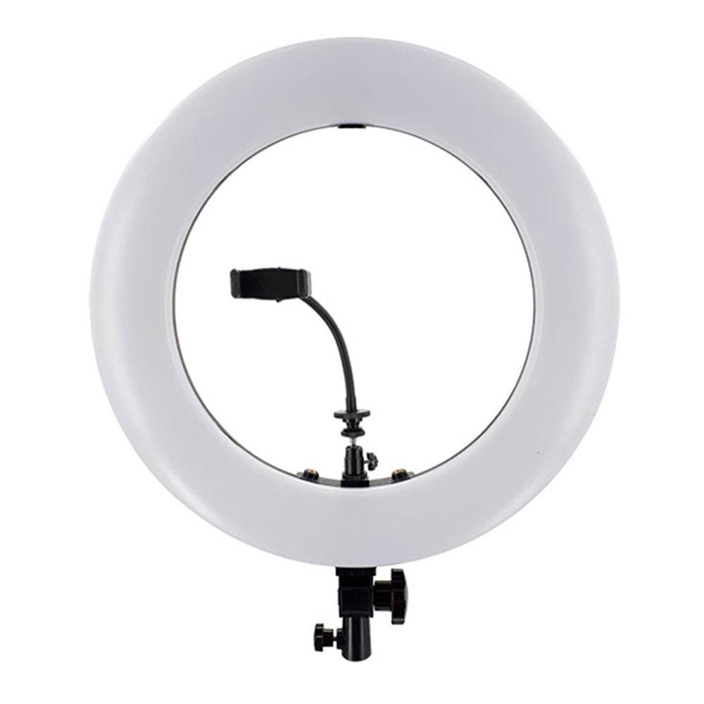 رینگ لایت عکاسی ریموت دار هارموني FA480 IV