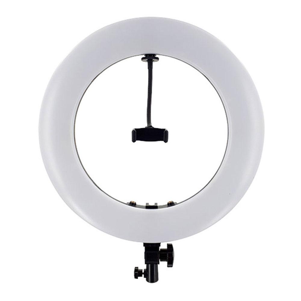 رینگ لایت عکاسی ریموت دار هارموني FA480 IV