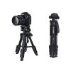 سه پایه زومی ZOMEi Q100 Mini Desktop Tripod