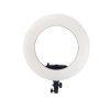 رینگ لایت وسکات Westcott Ring Light FE-480 IIII