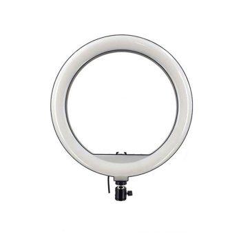 رینگ لایت Ring Light YQ-350