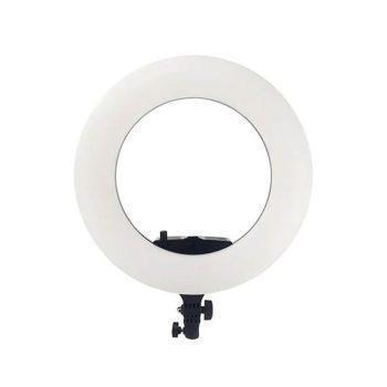رینگ لایت ویتاکون Vitacon Ring Light 480 IIII