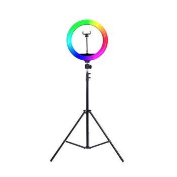 رینگ لایت Ring Light YQ-310-P