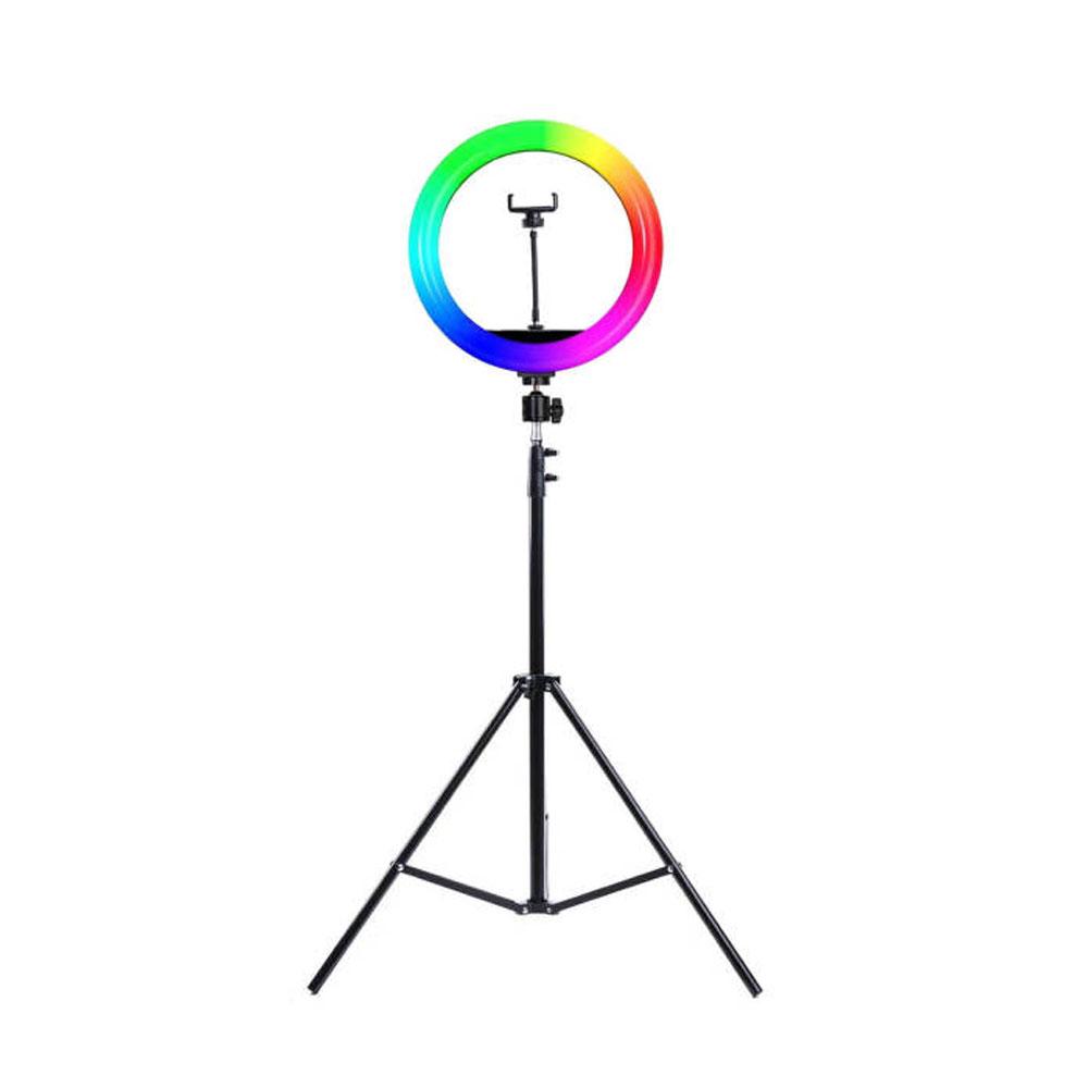 رینگ لایت Ring Light YQ-310-P