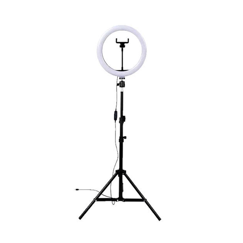رینگ لایت Ring Light ZT-260