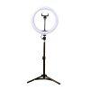 رینگ لایت Ring Light FRL-S31