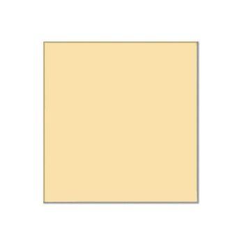 فیلتر کوکین Cokin P028 Warm 81C Color Conversion Resin Filter