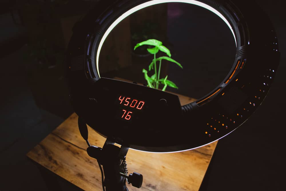 رینک لایت ck 480