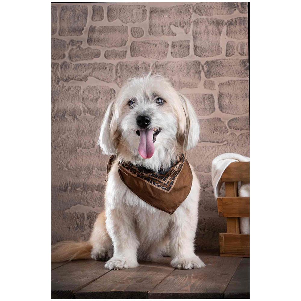 بافت فیبر چوبی طرح سنگ کد 247