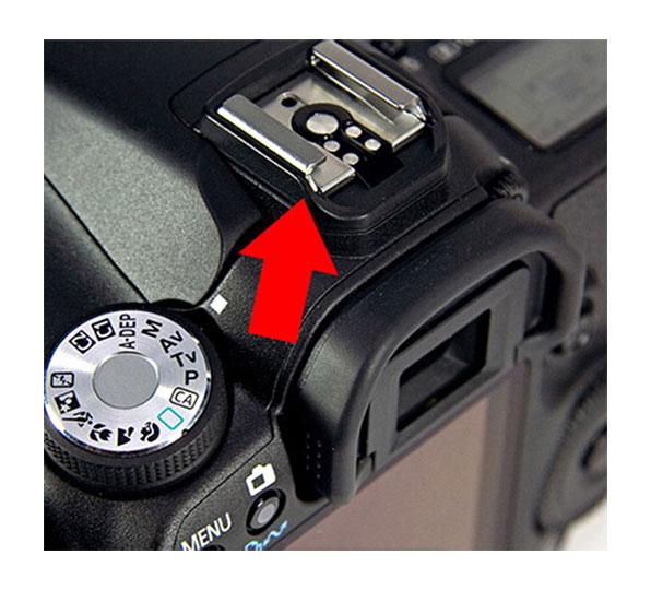 درپوش کفشک فلاش‌ دوربین طرح جغد