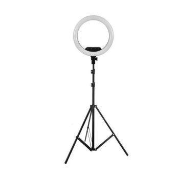 رینگ لایت Ring Light AL-360 + پایه 803