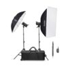 کیت فلاش استودیویی دو شاخه گودکس Godox SK300II-V