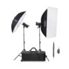 کیت فلاش استودیویی دوشاخه گودکس Godox SK400II-V