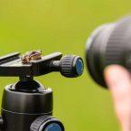 بهترین لنز ماکرو