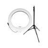 رینگ لایت Ring Light 320A + سه پایه 803