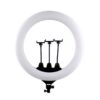 رینگ لایت Ring Light MJ56 RGB