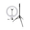 رینگ لایت Ring Light YQ-320A + سه پایه 803