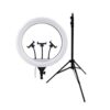 رینگ لایت انسر Ring Light Answer 520A + سه پایه 803