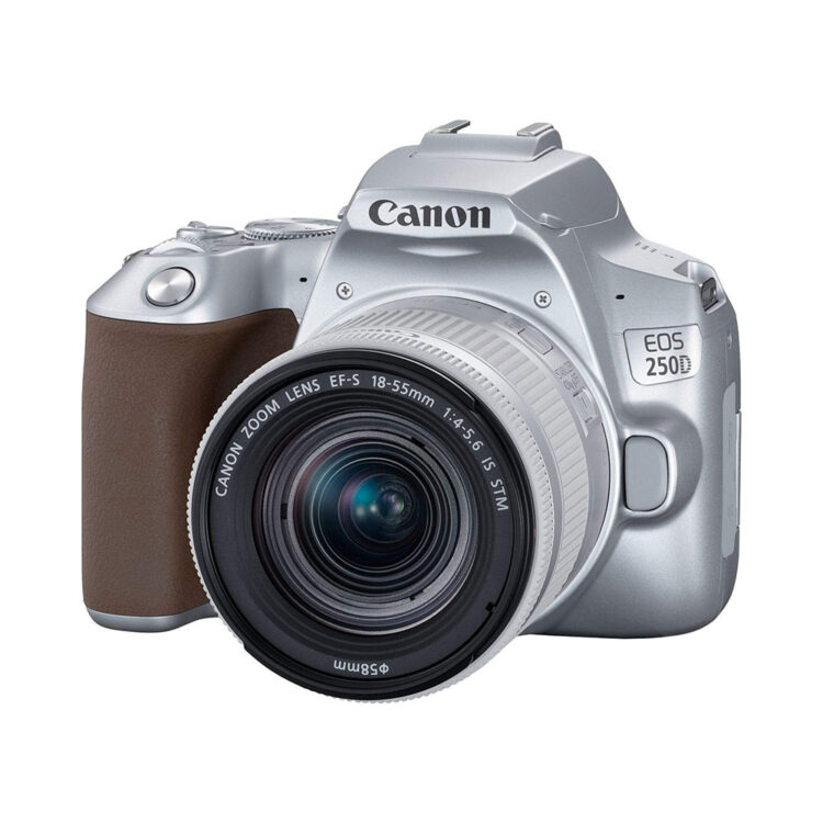 دوربین عکاسی کانن Canon EOS 250D 18-55 IS STM نقره ای