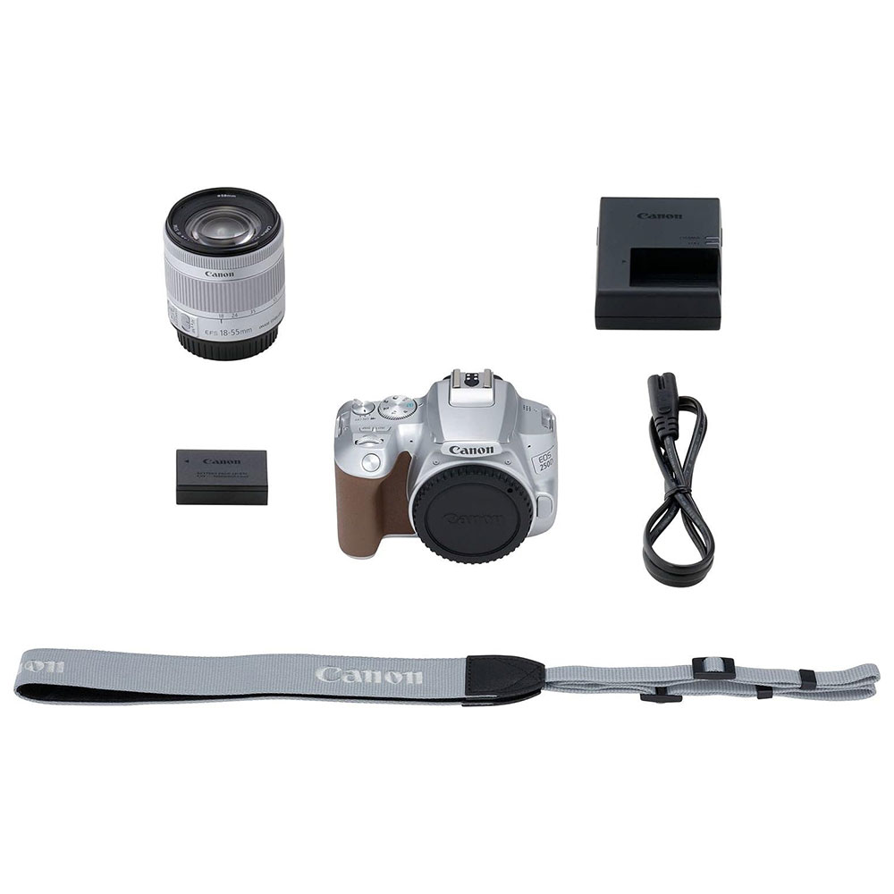 دوربین عکاسی کانن Canon EOS 250D 18-55 IS STM نقره ای