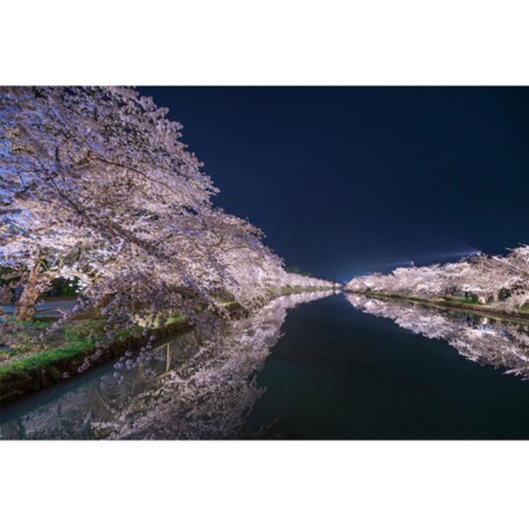 لنز سیگما Sigma 14mm f/1.4 DG DN Art Lens for Sony E