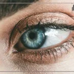 عکاسی از چشم ماکرو