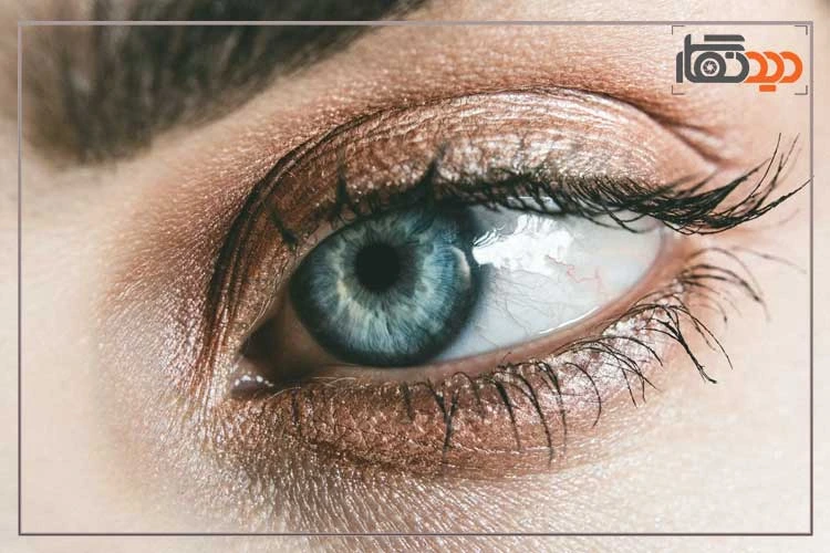 عکاسی از چشم ماکرو