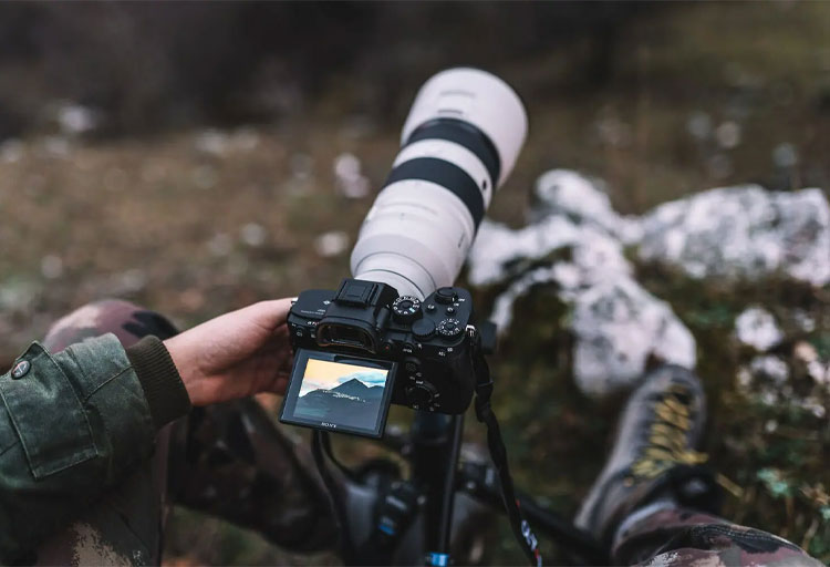 بهترین دوربین های DSLR فول فریم مناسب عکاسی حیات وحش