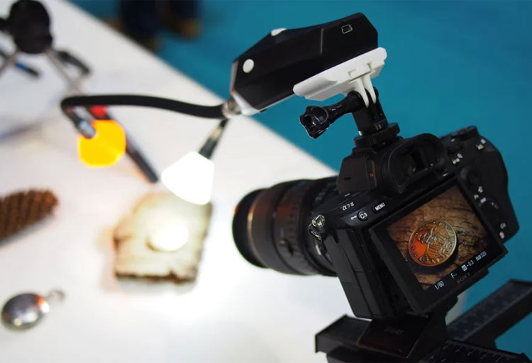 بهترین دوربین های DSLR فول فریم مناسب عکاسی ماکرو