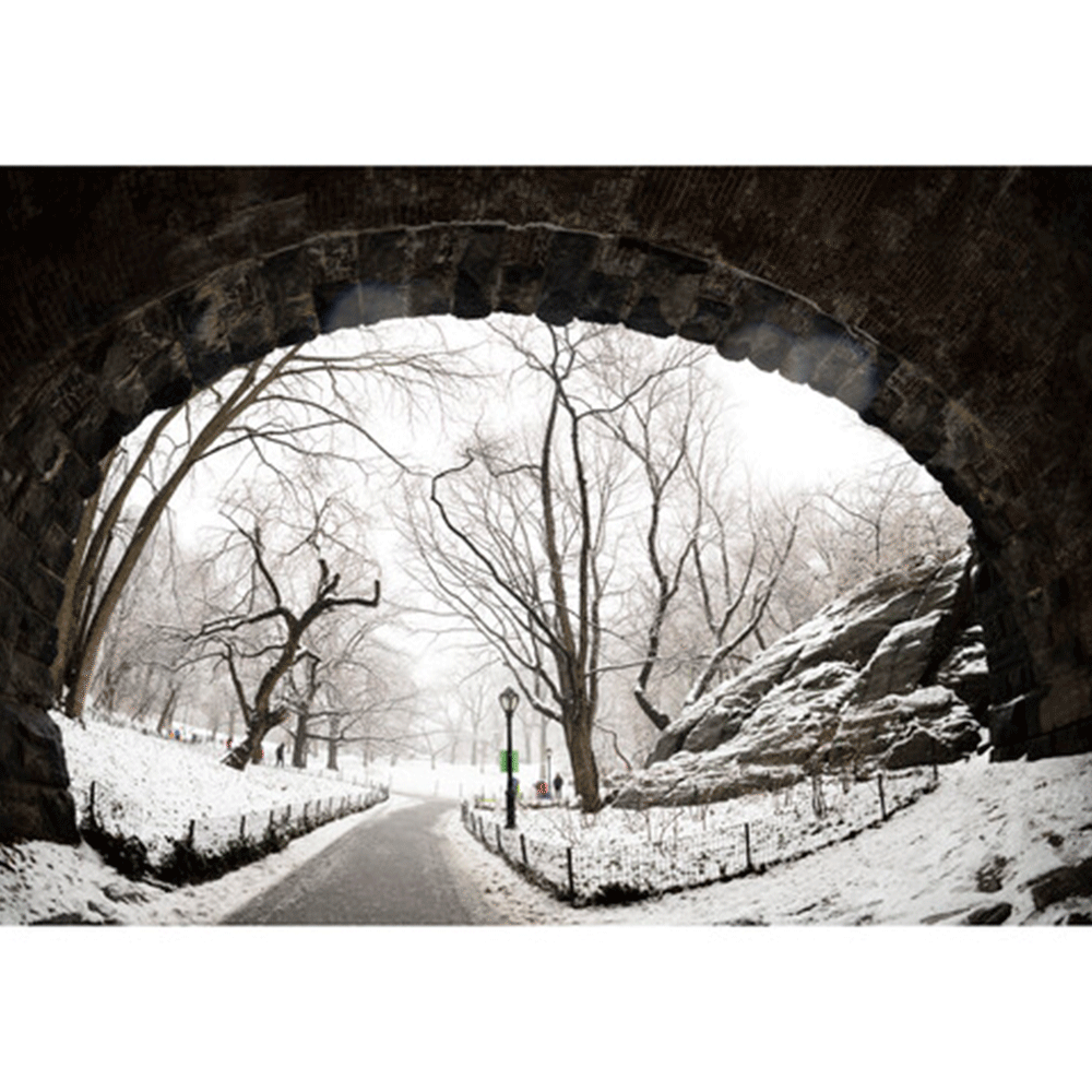 لنز سیگما Sigma 15mm f1.4 Fisheye DG DN Art Lens Sony E