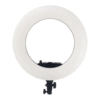 رينگ لايت وسکات Westcott FE-480IV Ring Light + پایه